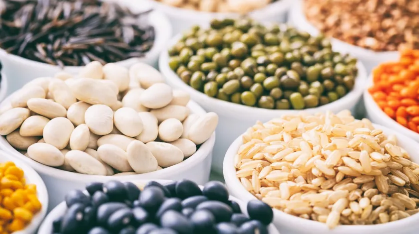 A close-up view of small bowls of beans, brown rice, and other healthy protein sources